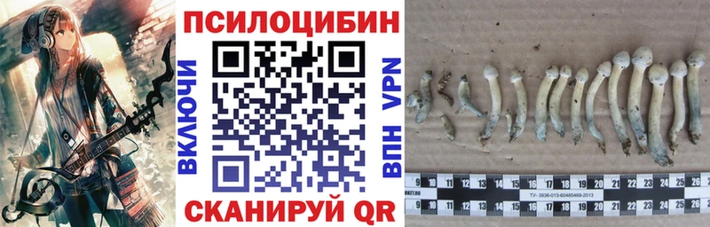 Галлюциногенные грибы MAGIC MUSHROOMS  shop как зайти  Белоусово 